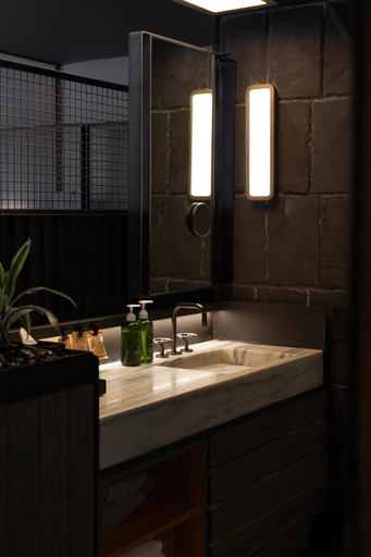 Bathroom 5, 1 Hotel Brooklyn Bridge, New York