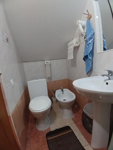 Bathroom 5, Sadyba u Zumera, Verkhovyns'kyi
