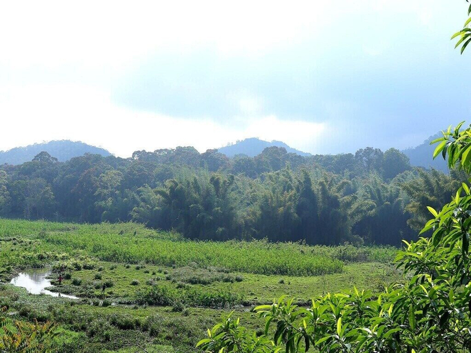 Others 3, Safariya Forest Inn, Theni