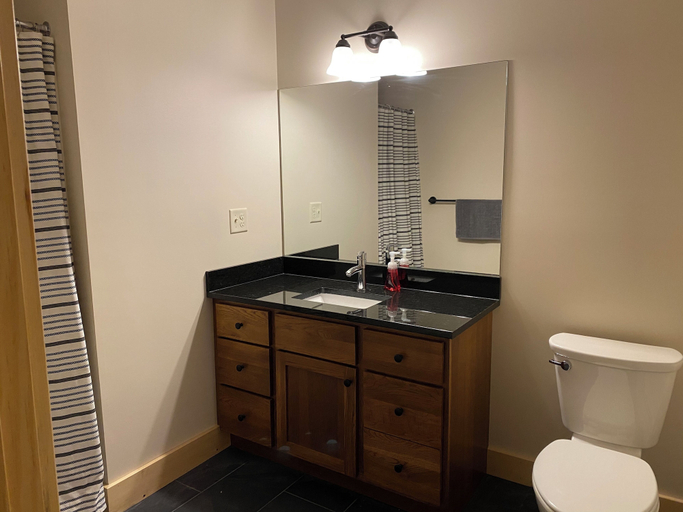 Bathroom, Spacious Sugarloaf Condo, Franklin