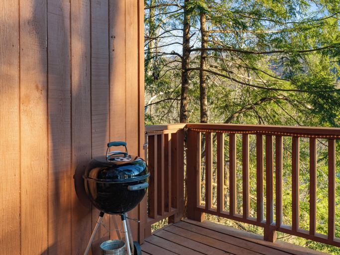 Others 5, Shooting Star by Jackson Mountain Rentals, Sevier