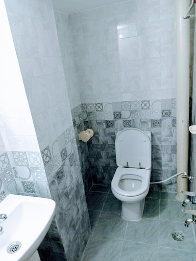 Bathroom 4, Hotel Grand Rahmania, Central Motijheel-Dhaka, Dhaka