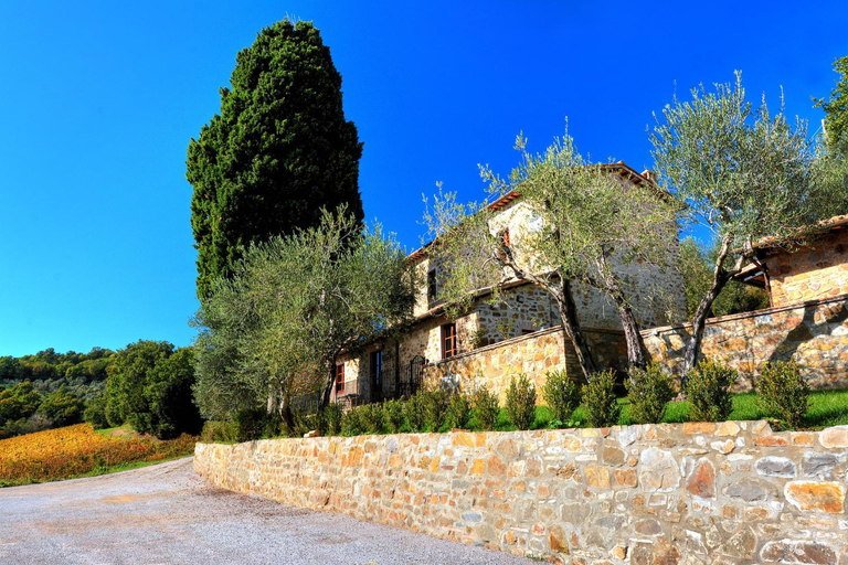 View 4, Agriturismo Fraschetta, Siena