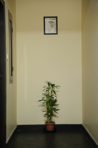 Others 1, Goldsuite, Ernakulam