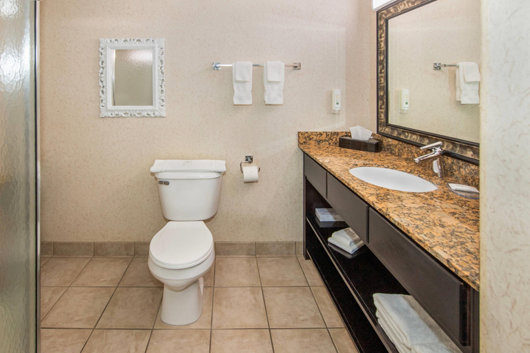 Bathroom 4, Quality Inn And Suites Lethbridge, Division No. 2