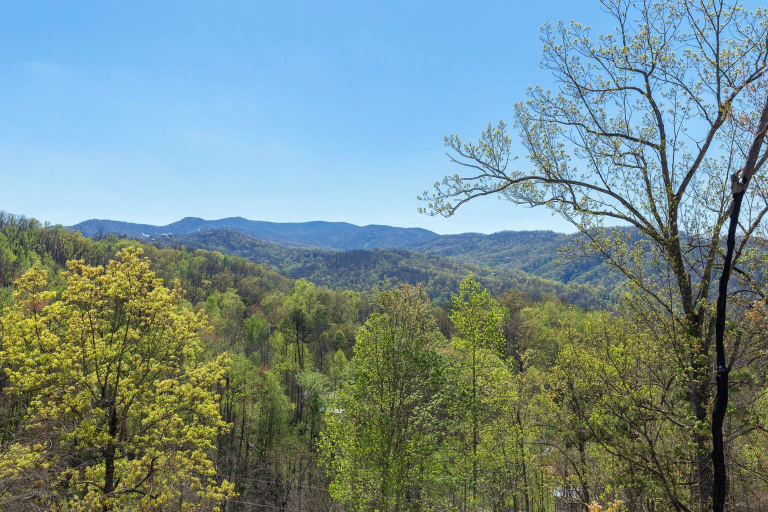 Others 5, Sweet Surrender by Jackson Mountain Rentals, Sevier