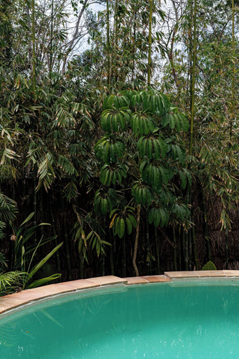 Sport & Beauty 3, Anat Tantric Boutique Hotel, Cozumel