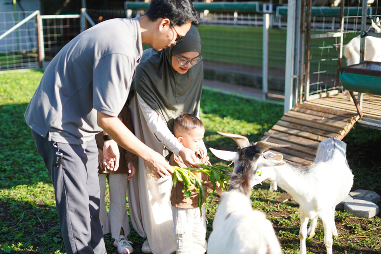 Others 4, Ubu Villa HnR Farm - 1 BR Villa with Free Farm Visit, Sleman