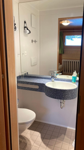 Bathroom 3, Haus Rhodania, Leuk