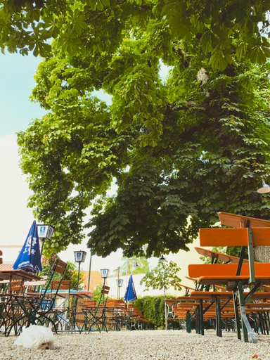 Others 4, Landshuter Hof, Straubing