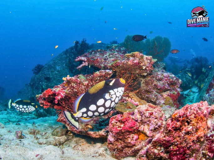 Others 3, Khaolak Dive Resort, Takua Pa
