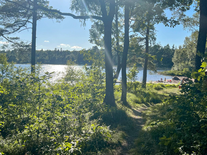 Others 5, person holiday home in Annerstad-By Traum, Ljungby