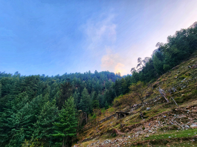Others 3, Green Sanctuary Farmstay Sainj, Kullu