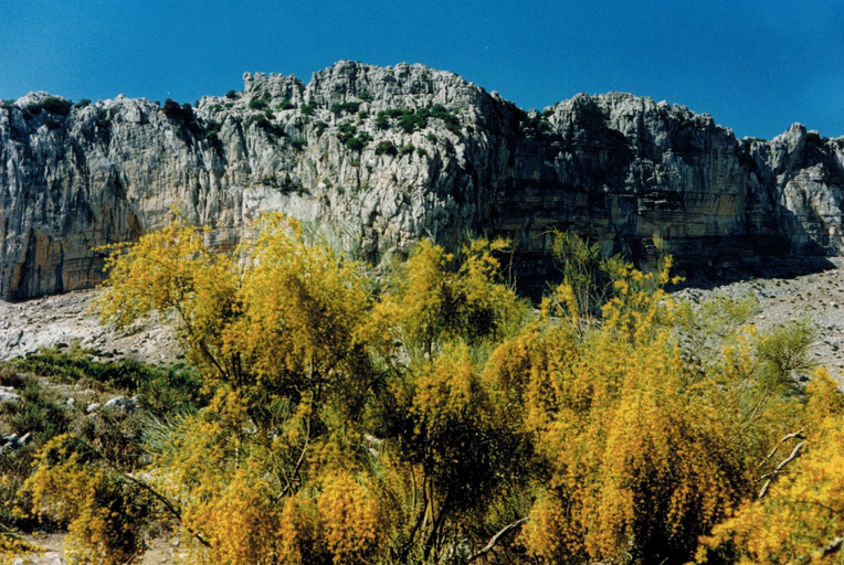 View from property 5, Holiday Home in Villanueva Near El Torcal Park, Málaga
