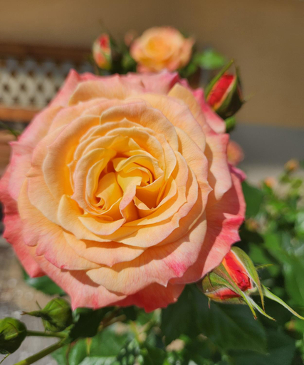 Others 5, Romantikschlossl Loipersdorf Adults Only, Jennersdorf