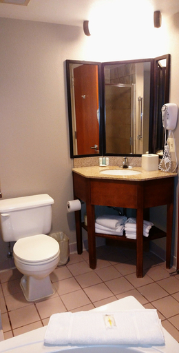 Bathroom 4, Comfort Inn SW Omaha I-80, Douglas