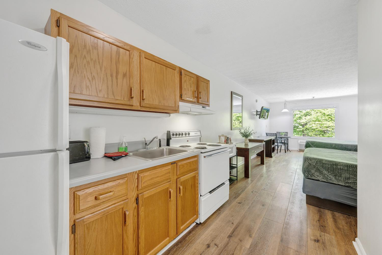 Others 5, Halesford Harbour Resort - Smith Mountain Lake, Bedford