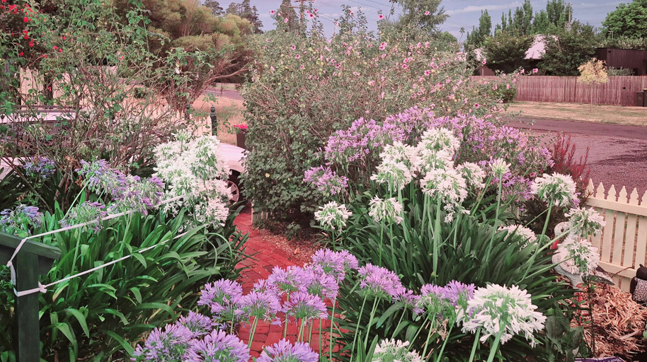 Others 4, Abelia Cottage of Daylesford Botanical, Hepburn - East