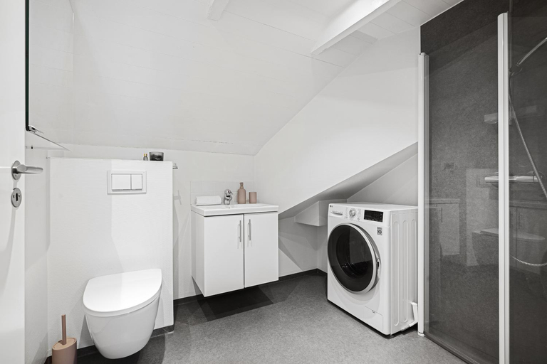 Bathroom 2, Charming Rooftop Apartment In Heart Of Stavanger, Stavanger