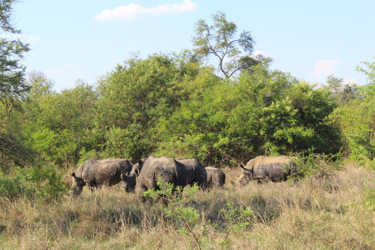 Others 5, Lodge at The Ancient City, Masvingo