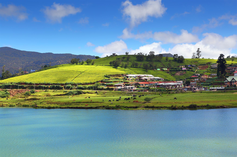 Nearby Landmark 3, Ulugala Resort, Nuwara Eliya