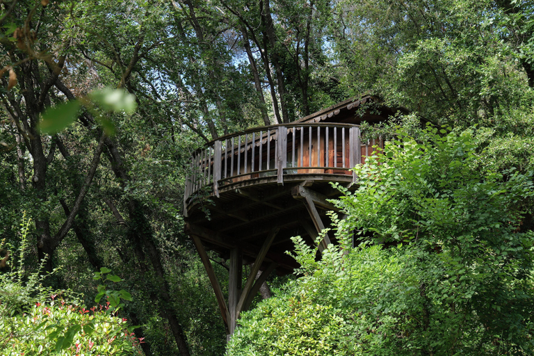 Exterior & Views 2, Orion Tree houses, Alpes-Maritimes