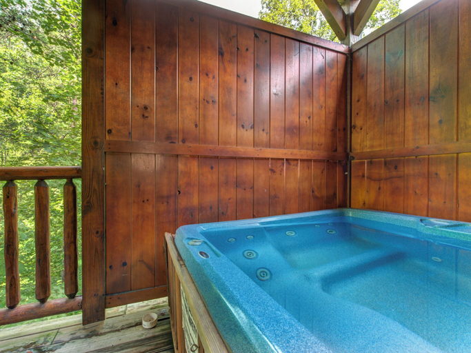 Sport & Beauty 5, Celebration Lodge by Jackson Mountain Rentals, Sevier