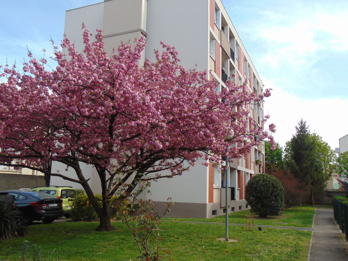 Exterior & Views 2, NATURALBNB, Rhône