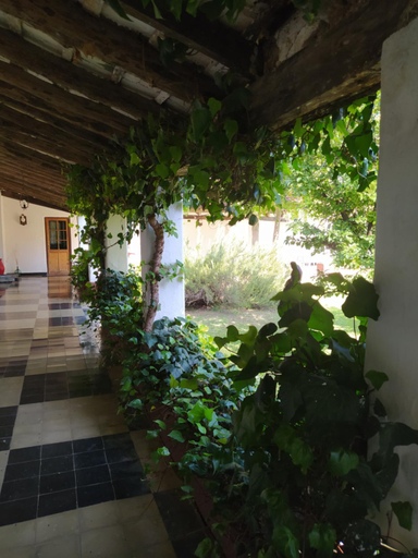 Others 5, Hotel del Alto, San Alberto