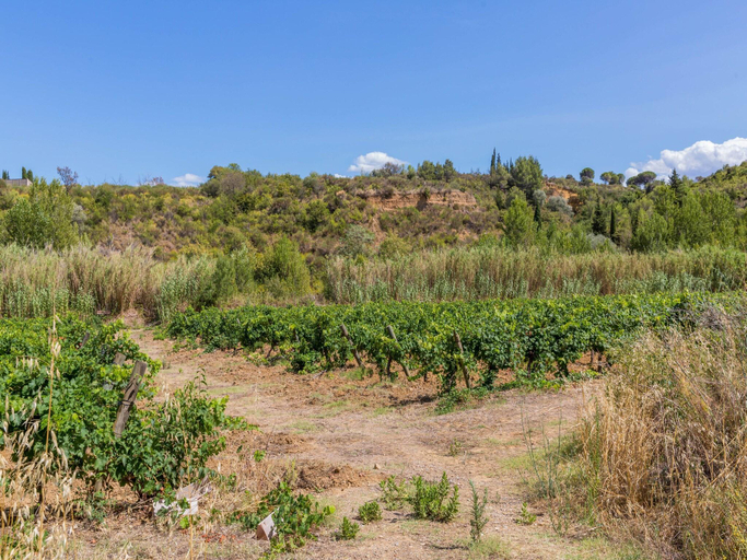Others 2, Retreat in Saint Denis, Aude