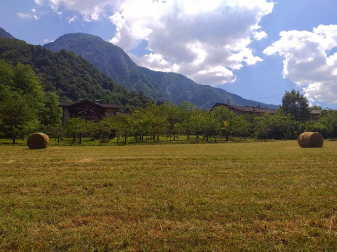 Others 5, Maso Dau, Trento
