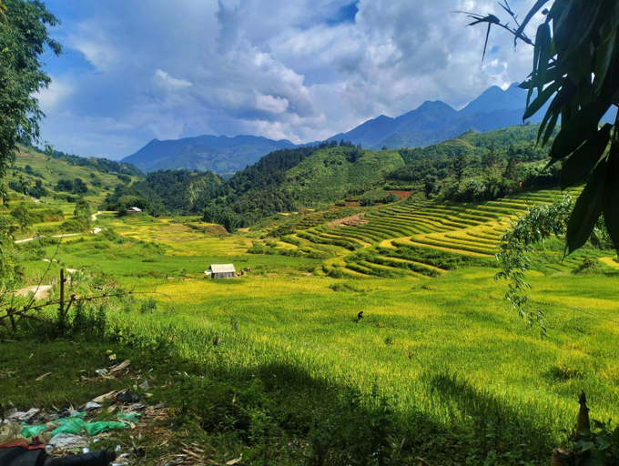 Others 3, Zoo si homestay, Sa Pa