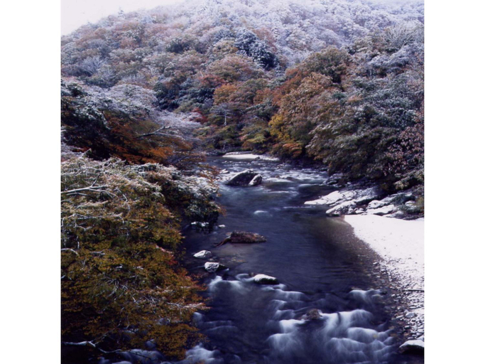 Others 2, Ryokan Tarobee, Yuzawa