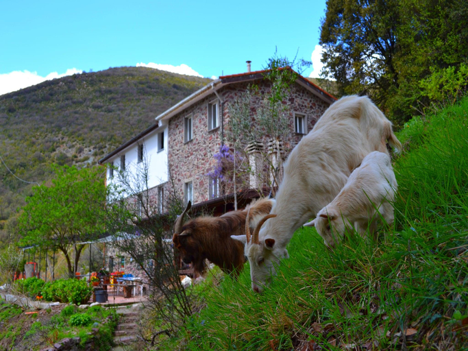 Exterior & Views 1, Hillside Retreat Near 5 Terre, Genova