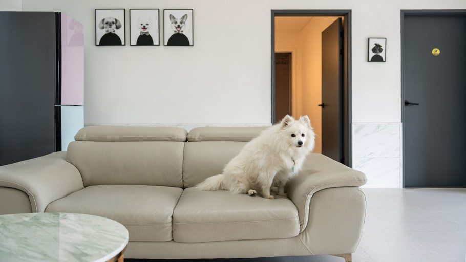 Bedroom 3, Gyeongju Purspet Dog Pension, Gyeongju