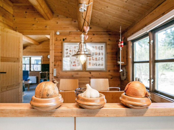 Food & Drinks 5, 4 Person Holiday Home in Laeso, Læsø