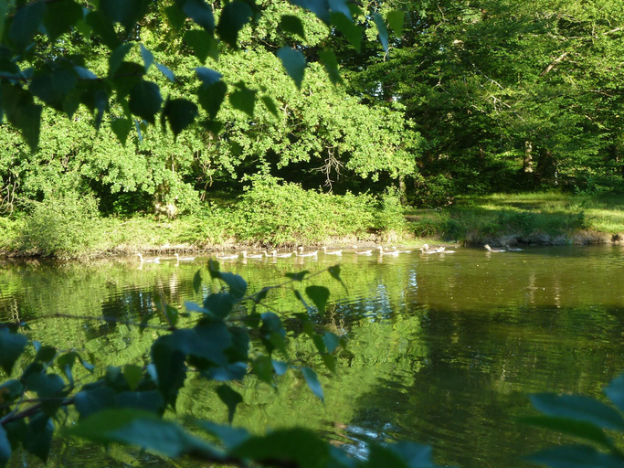 Others 2, Bed breakfast in chateau in Allier, Allier