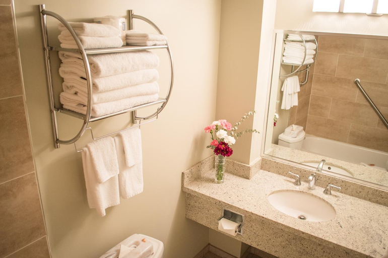 Bathroom 5, Sea to Sky Hotel and Conference Centre, Squamish-Lillooet