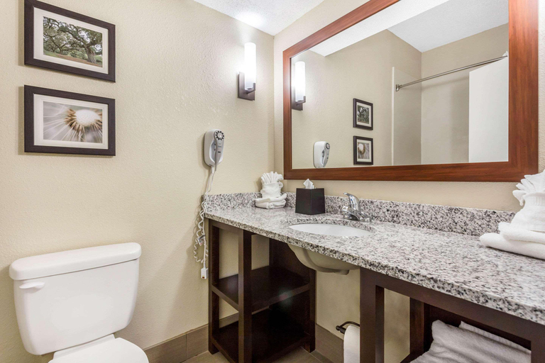 Bathroom 4, Comfort Suites At the University, Horry