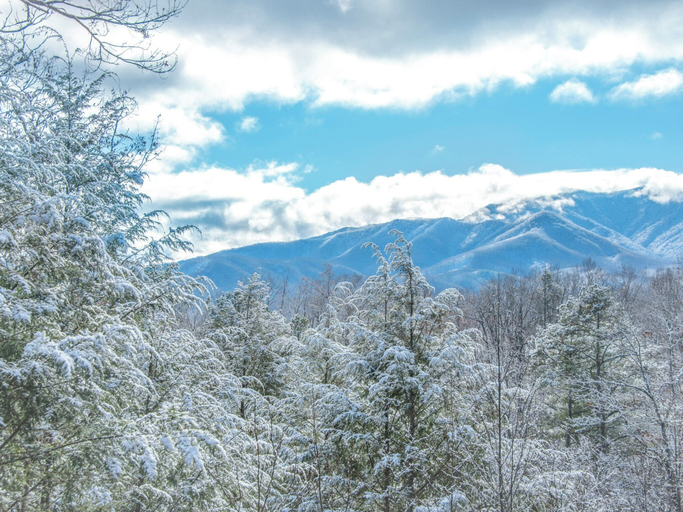 Others 5, Dew South by Jackson Mountain Rentals, Sevier