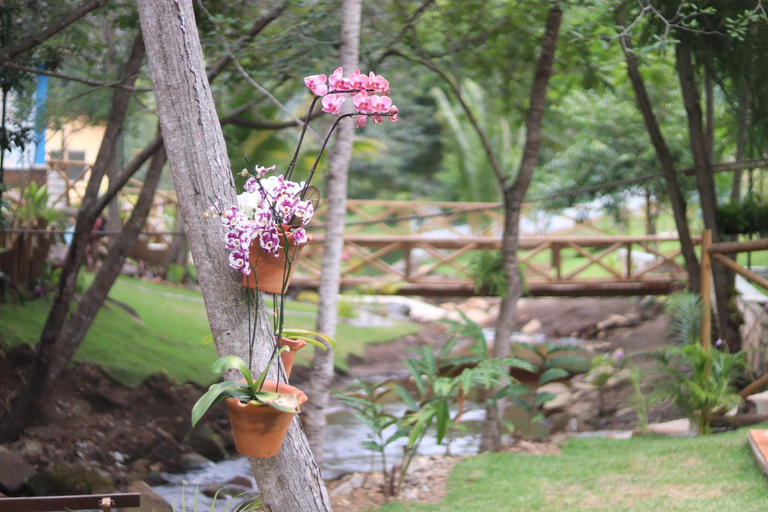 Others 5, Hotel Villa Babacu, Jacobina