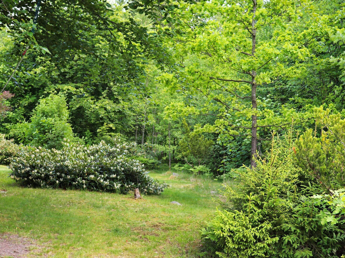 Exterior 2, 4 Person Holiday Home in Asljunga, Örkelljunga