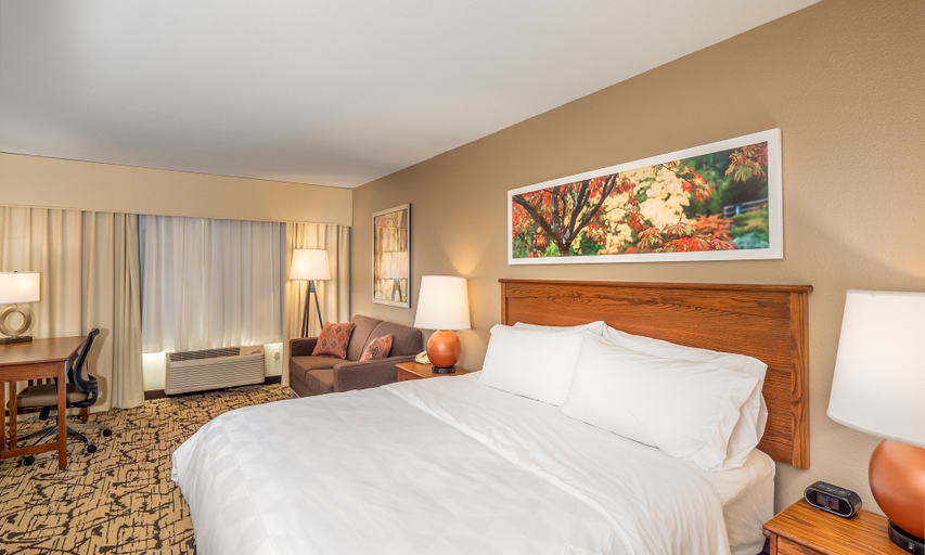 Holiday Inn Stevens Point - Convention Ctr by IHG Room Type - SUITE KING BED ONE BEDROOM 
