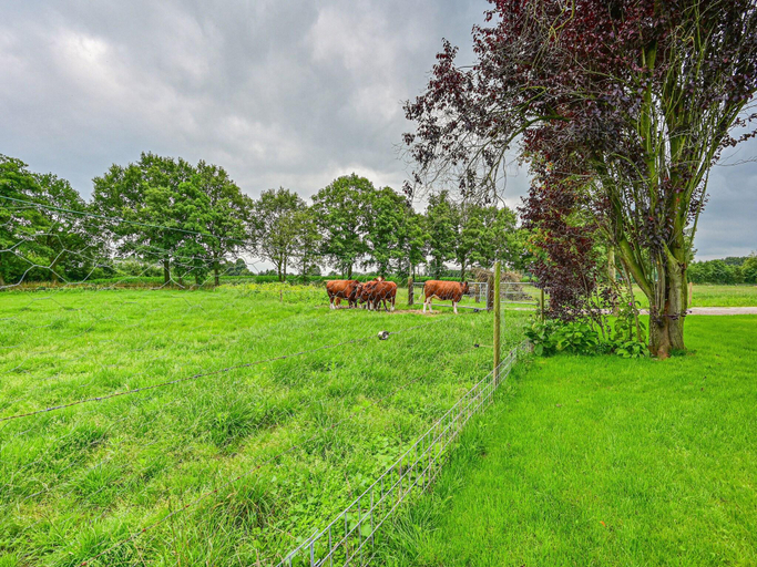 Others 5, Farmhouse in De Heurne with Animal Farm, Dinxperlo