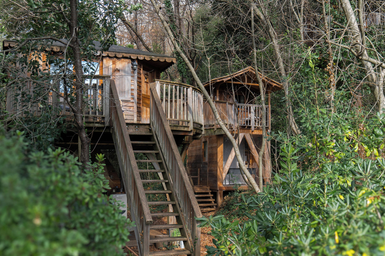 Exterior & Views 2, Orion Tree houses, Alpes-Maritimes