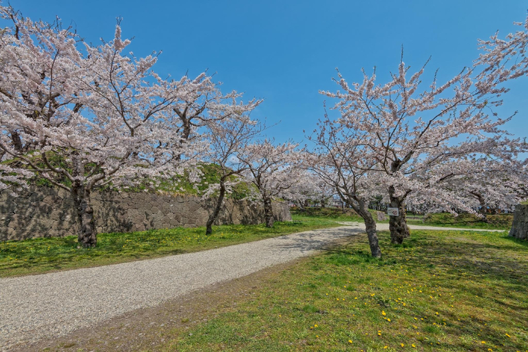Nearby Landmark 4, Hotel粋, Hakodate