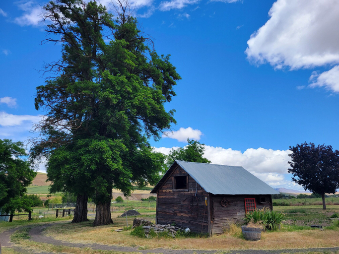 Exterior & Views 2, 8 Mile Farm B&B, Wasco