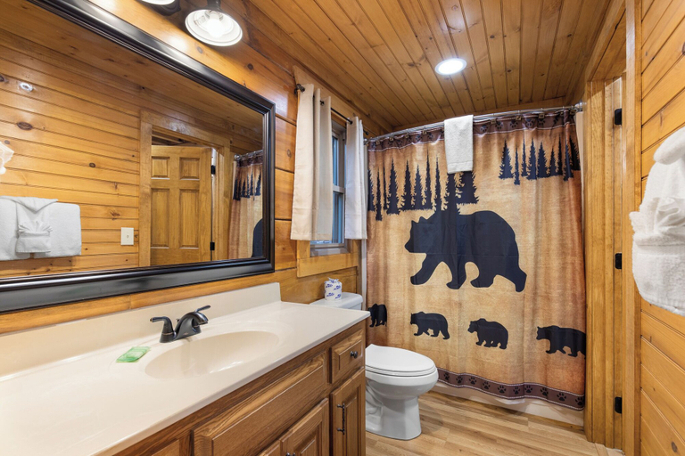 Bathroom 3, Cozy Bear Lodge, Sevier
