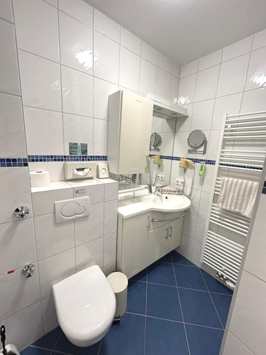 Bathroom 4, Hotel Hubertus Gernsheim Rhein, Groß-Gerau