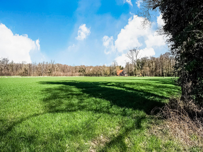 Others 3, Holiday Home in Reutum with Pond and Trails, Tubbergen